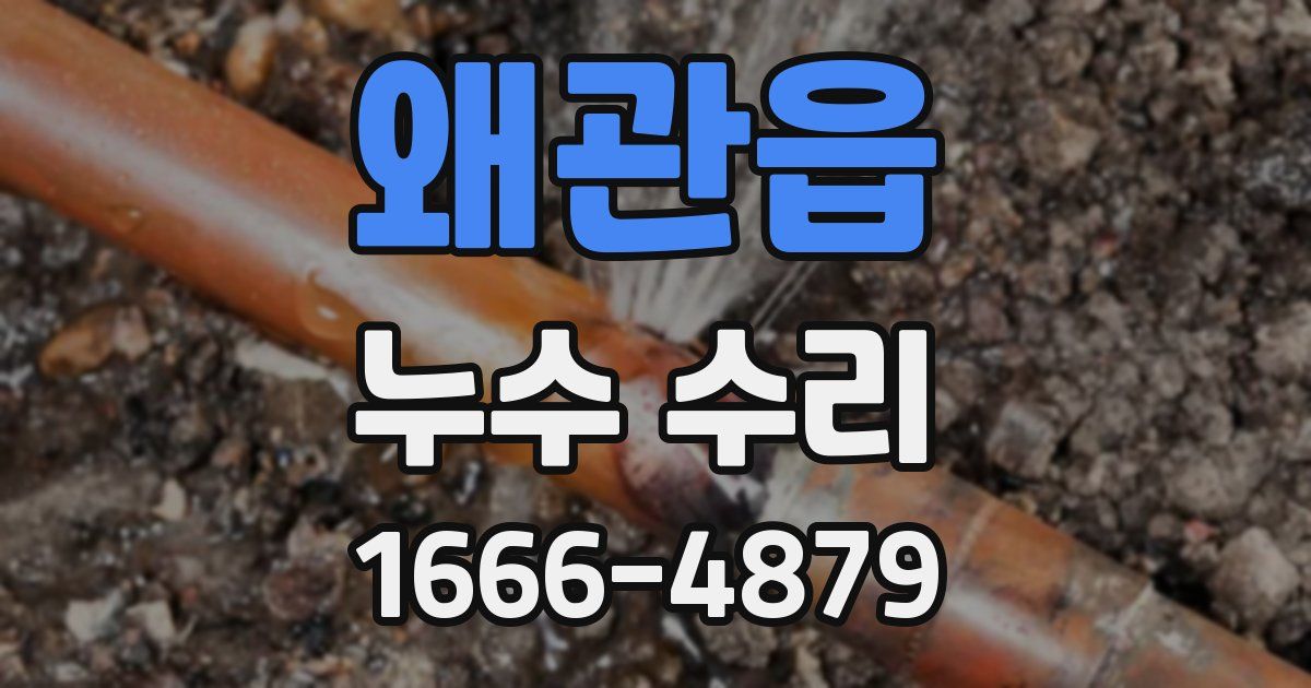 왜관읍 누수 수리