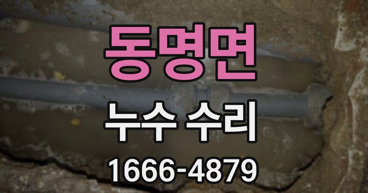 동명면 누수 수리
