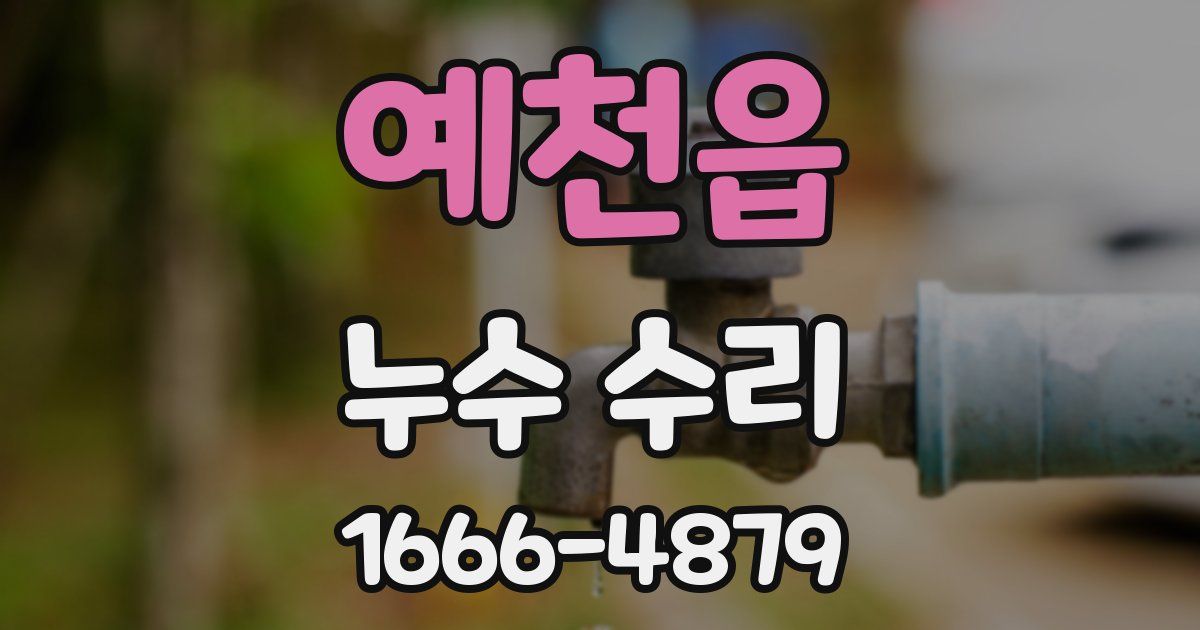 예천읍 누수 수리