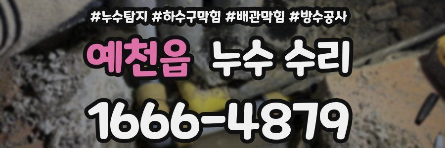 예천읍 누수 수리