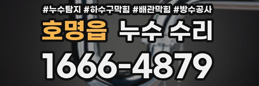 호명읍 누수 수리
