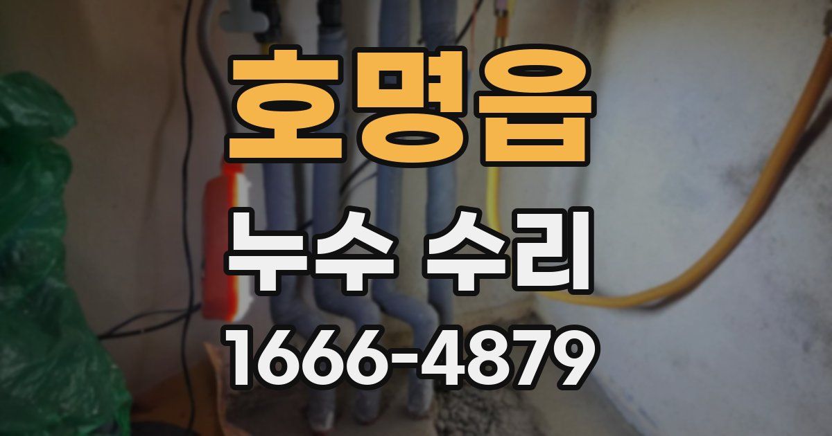 호명읍 누수 수리