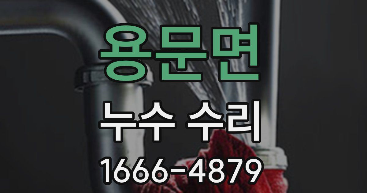 용문면 누수 수리