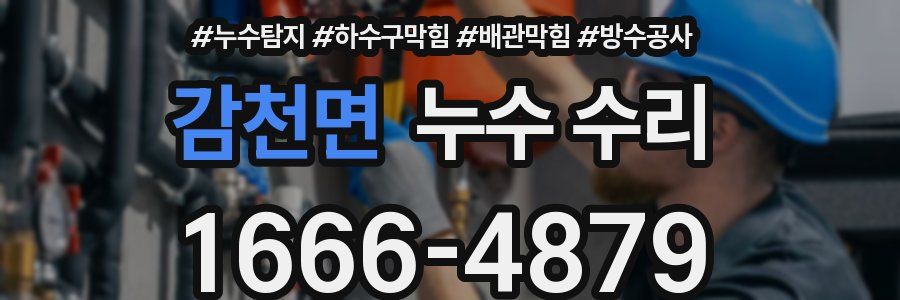 감천면 누수 수리