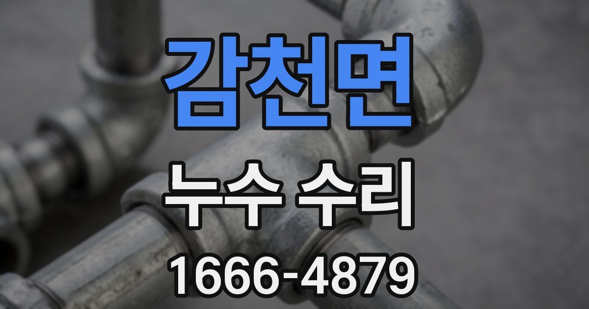 감천면 누수 수리