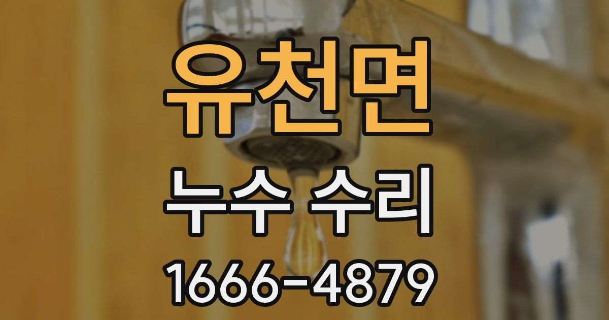 유천면 누수 수리