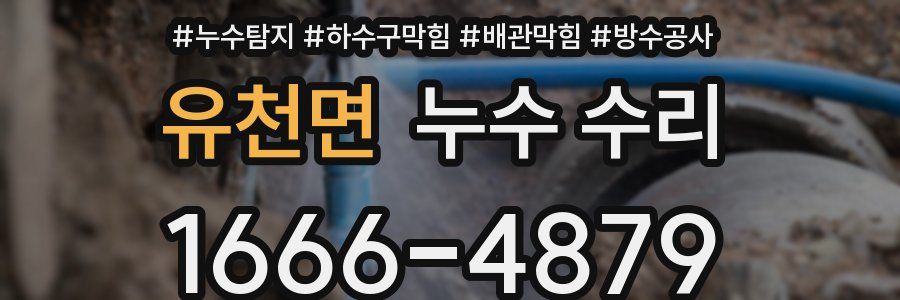 유천면 누수 수리