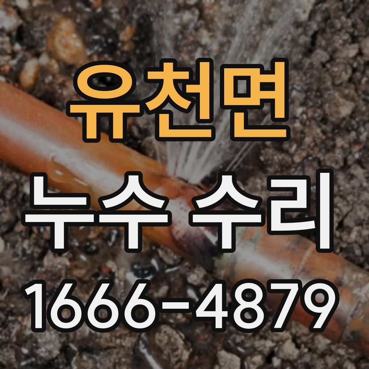 유천면 누수 수리