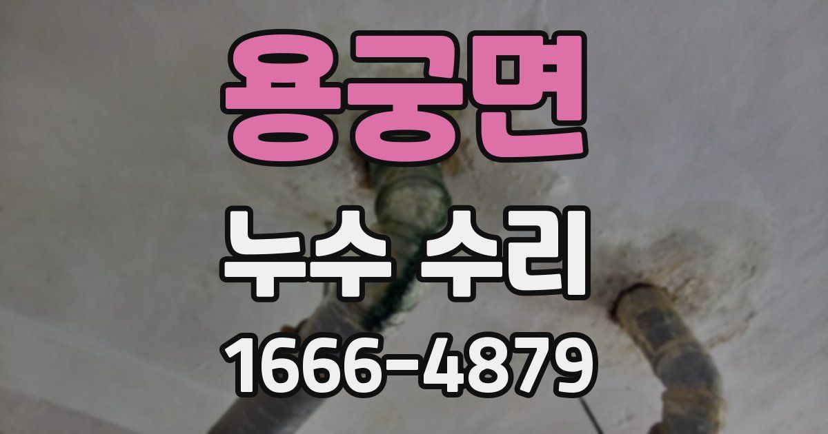 용궁면 누수 수리