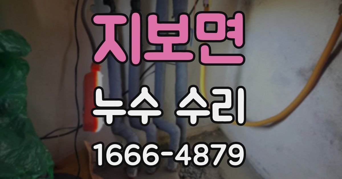 지보면 누수 수리