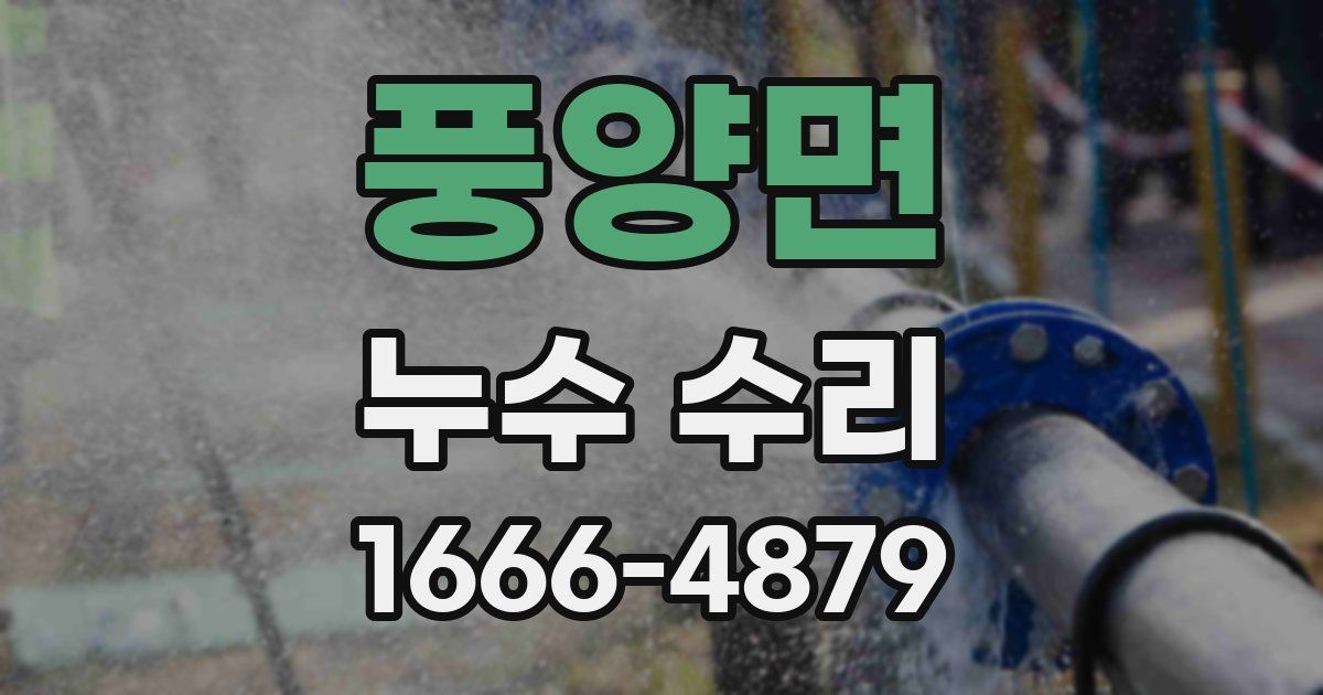 풍양면 누수 수리