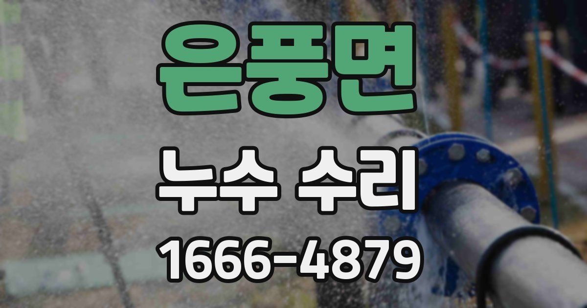 은풍면 누수 수리