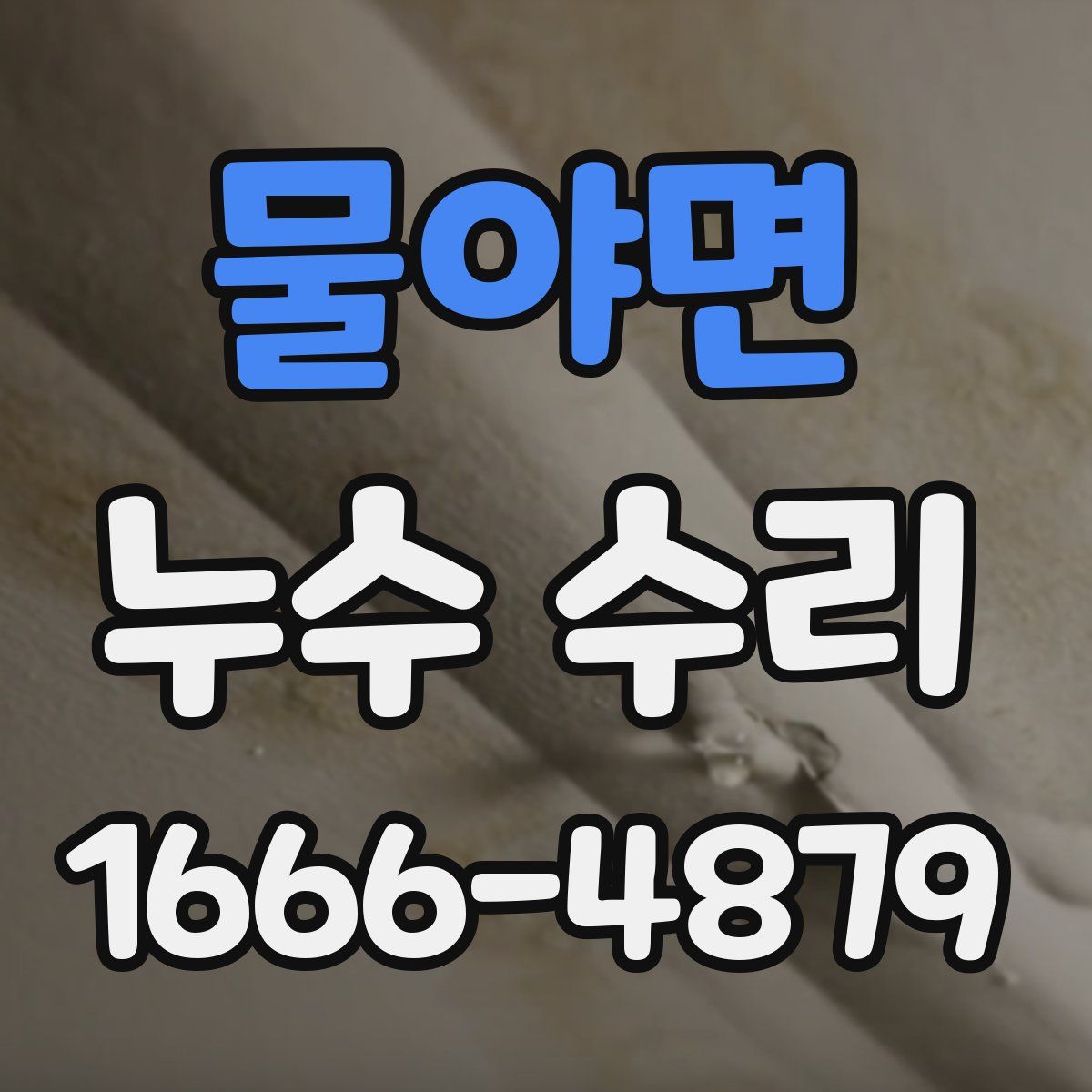 물야면 누수 수리