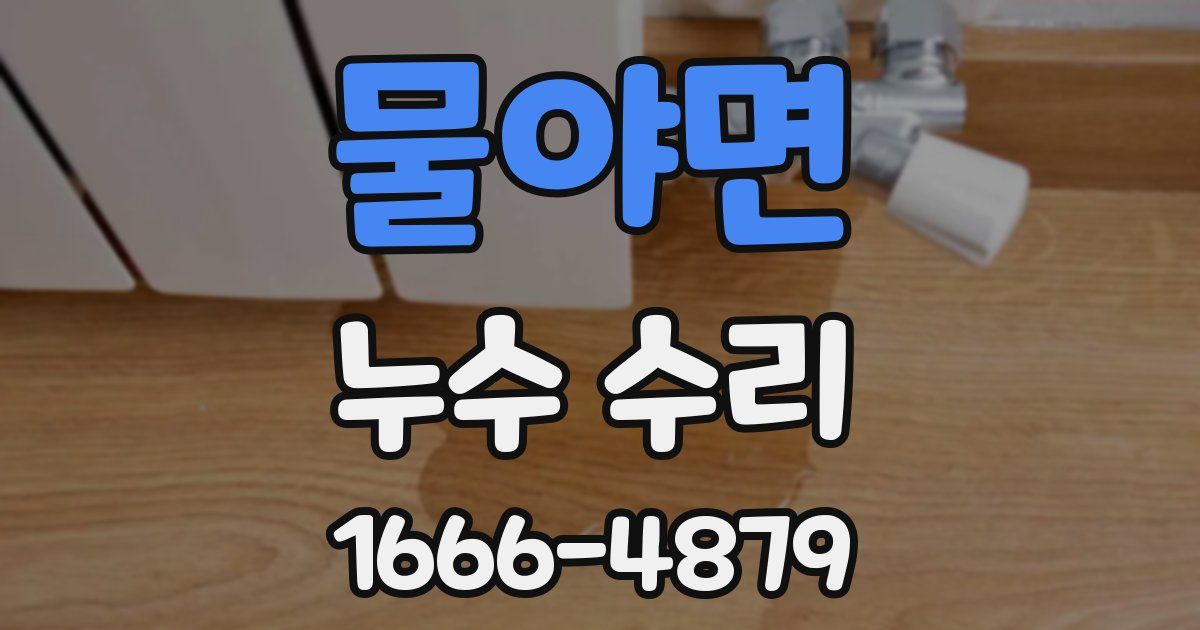 물야면 누수 수리