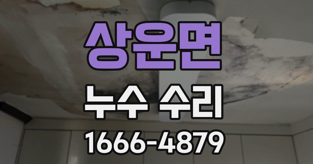 상운면 누수 수리