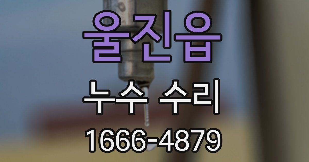 울진읍 누수 수리