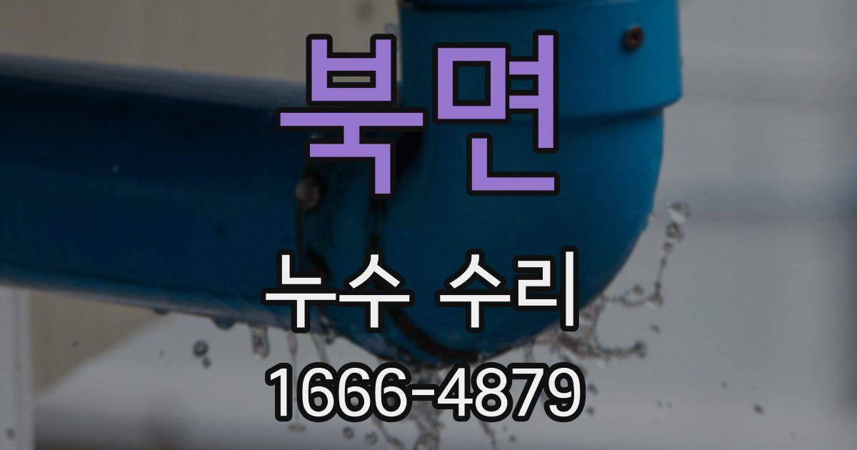 북면 누수 수리