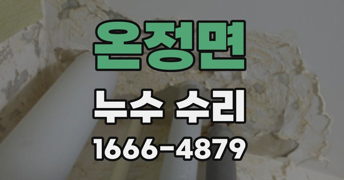 온정면 누수 수리