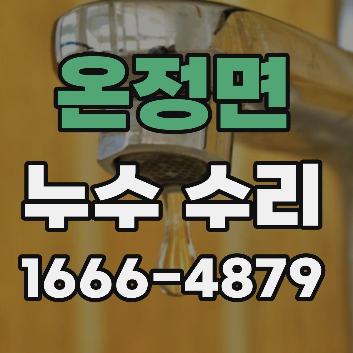 온정면 누수 수리
