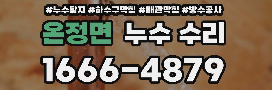 온정면 누수 수리