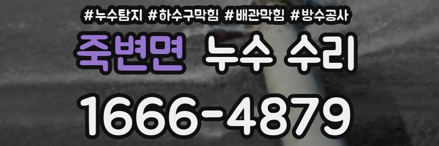 죽변면 누수 수리