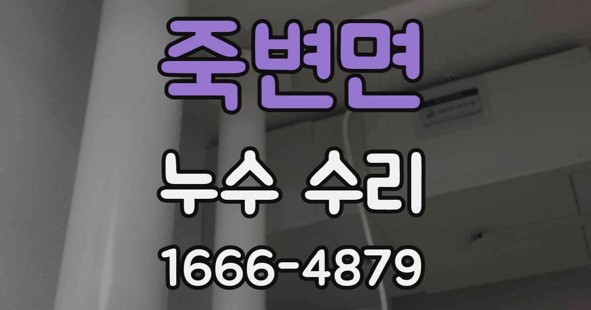죽변면 누수 수리