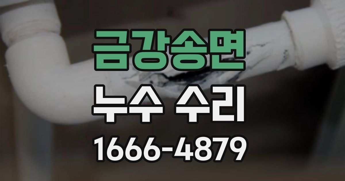 금강송면 누수 수리