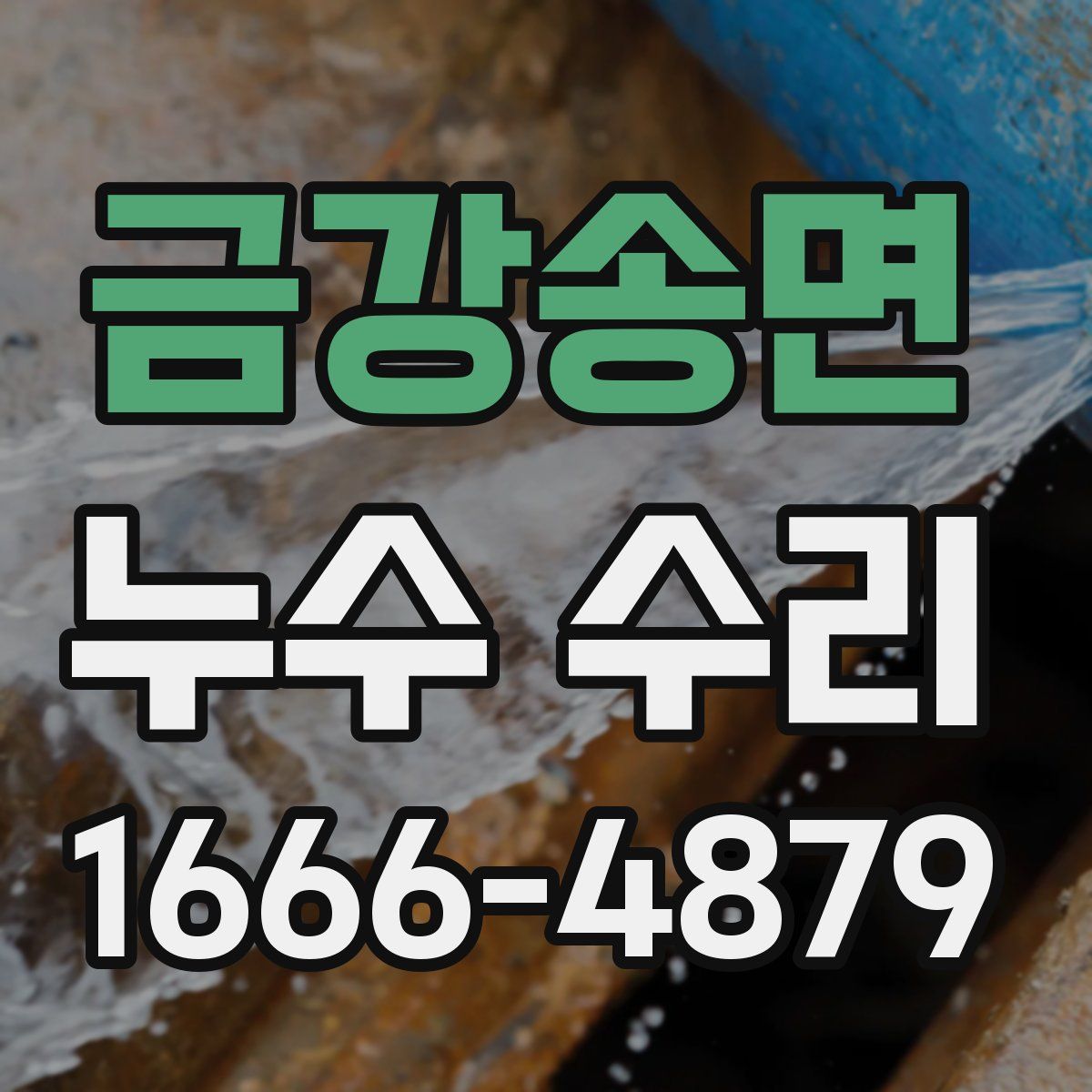 금강송면 누수 수리
