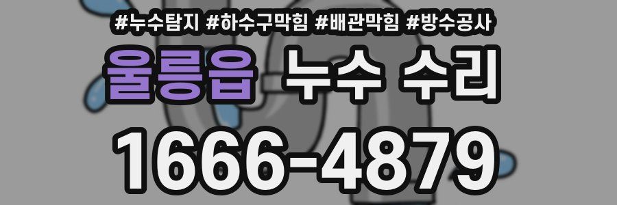 울릉읍 누수 수리