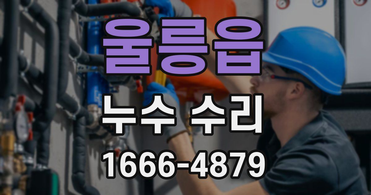 울릉읍 누수 수리