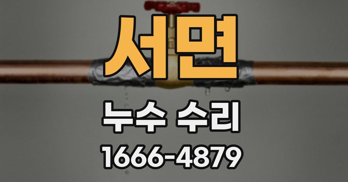 서면 누수 수리