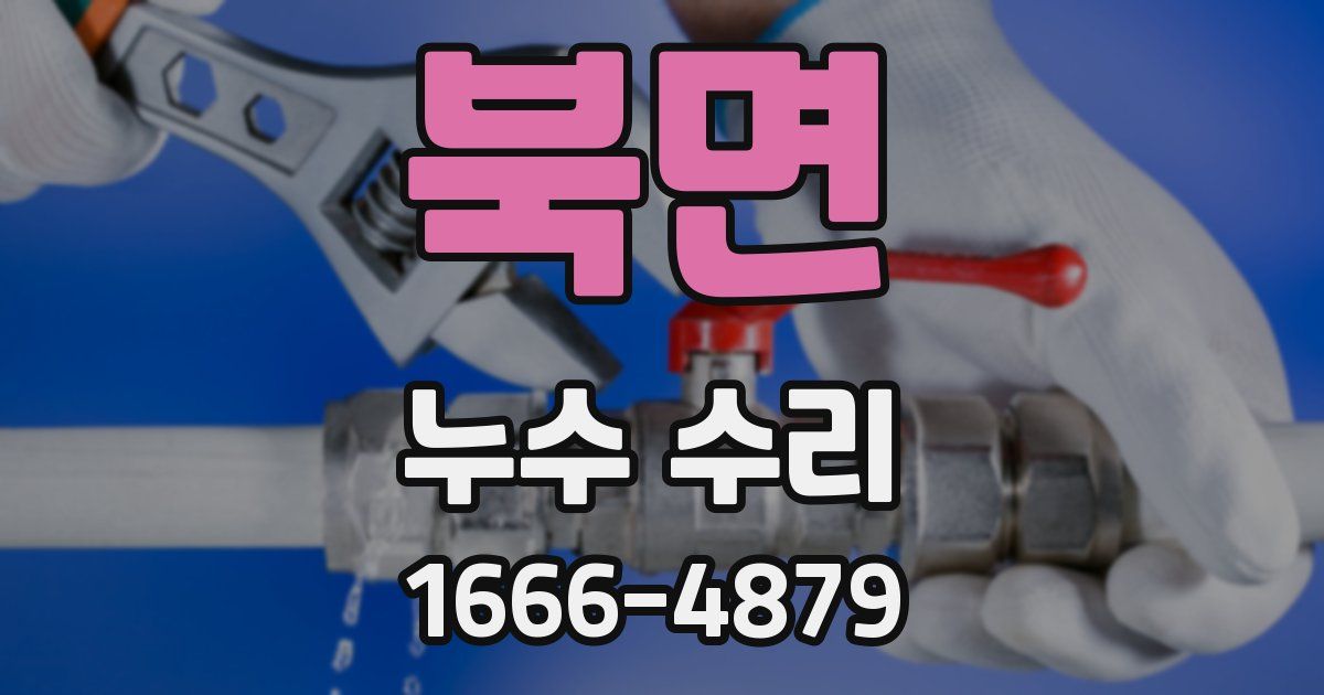 북면 누수 수리