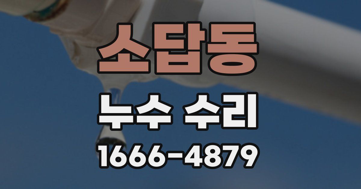 소답동 누수 수리