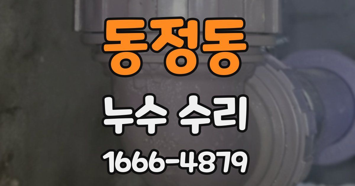 동정동 누수 수리