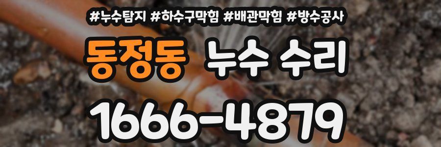 동정동 누수 수리