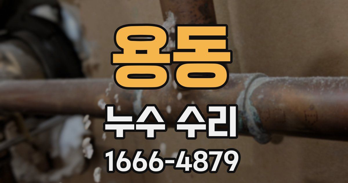 용동 누수 수리