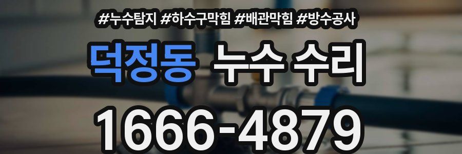 덕정동 누수 수리