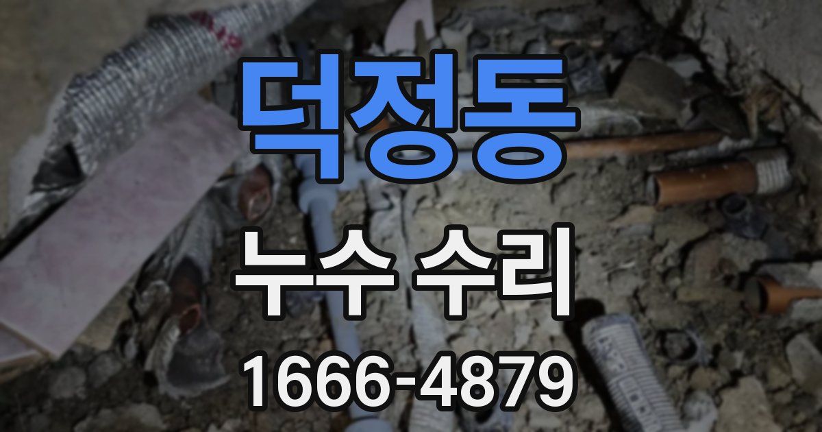덕정동 누수 수리