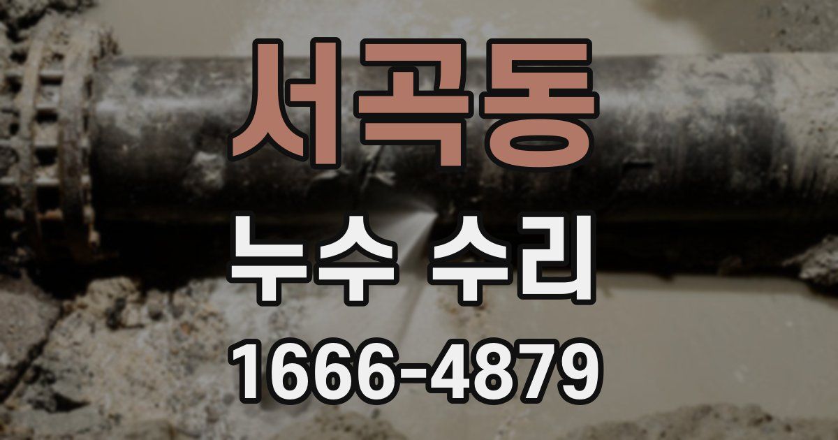 서곡동 누수 수리