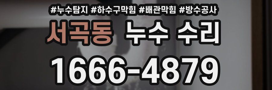 서곡동 누수 수리