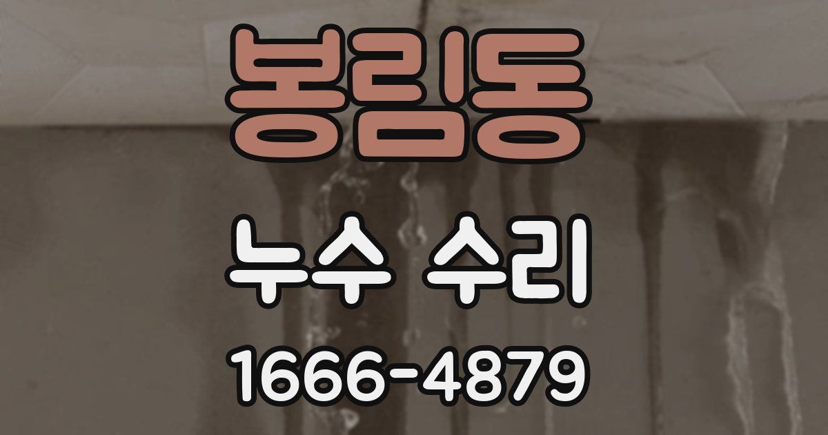봉림동 누수 수리
