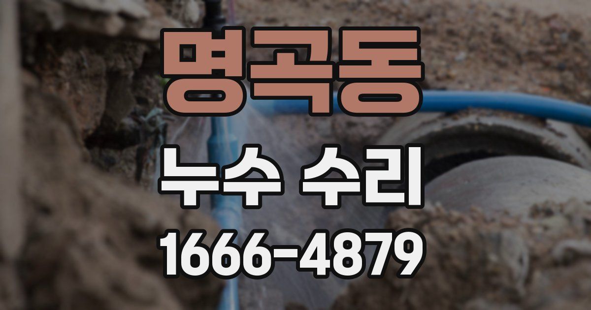명곡동 누수 수리