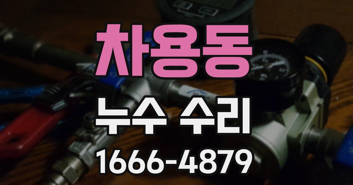 차용동 누수 수리
