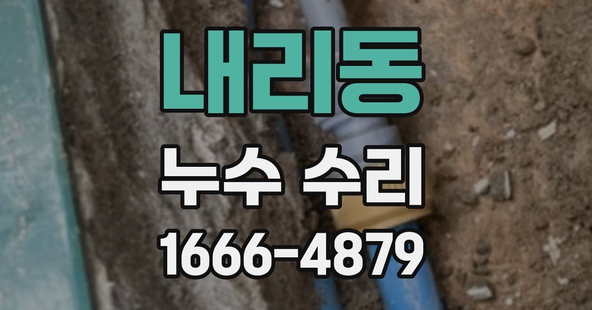 내리동 누수 수리
