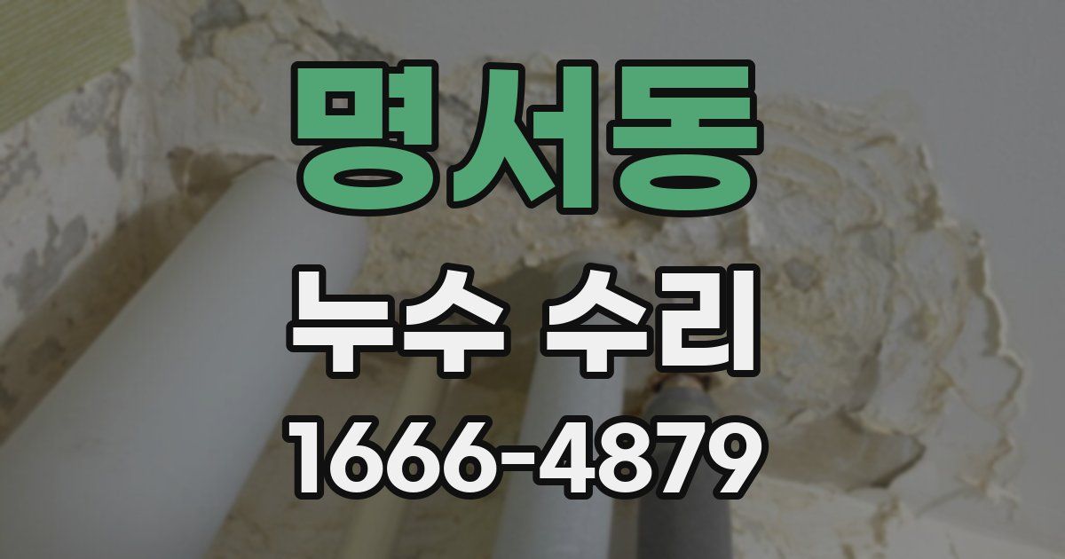 명서동 누수 수리