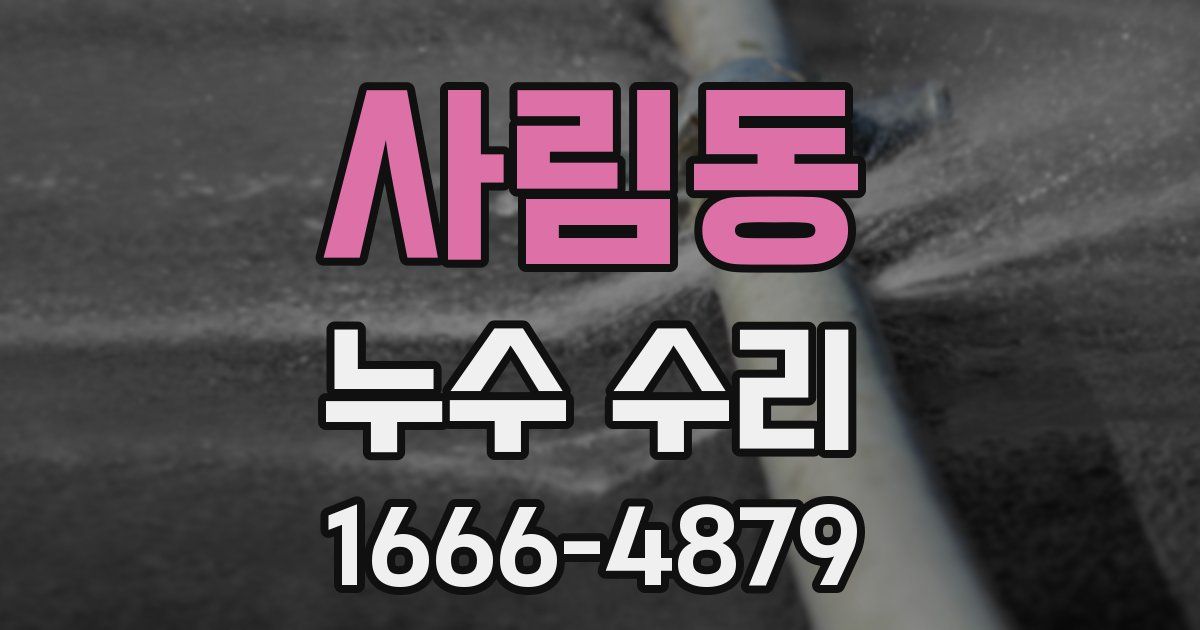 사림동 누수 수리