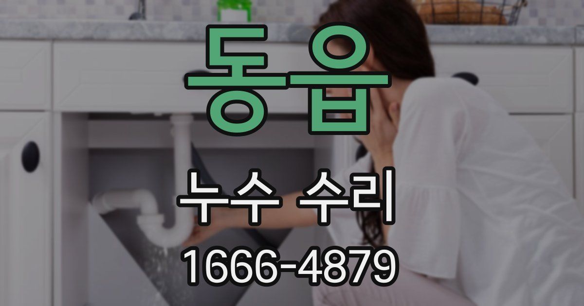 동읍 누수 수리