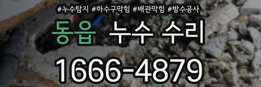 동읍 누수 수리