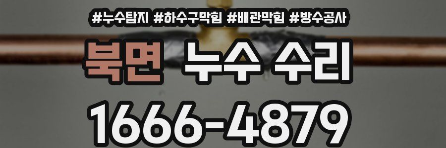 북면 누수 수리