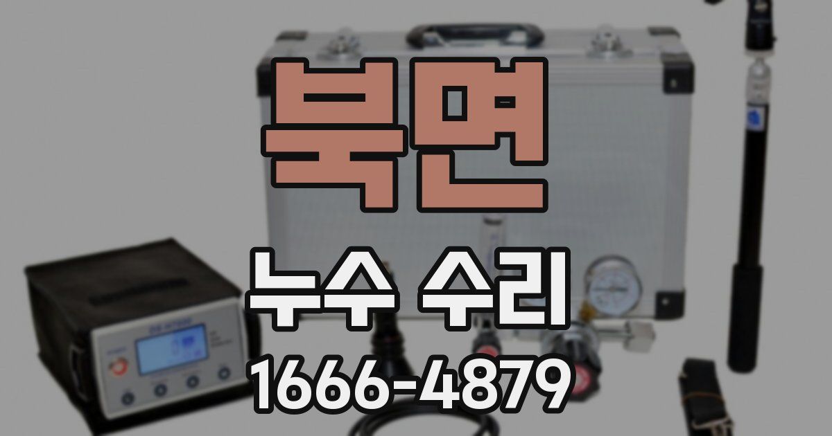 북면 누수 수리